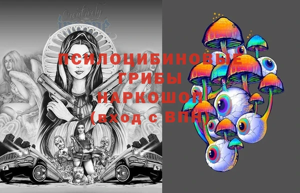 соль ск Алексин
