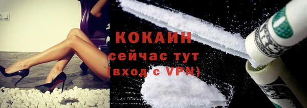 соль ск Алексин