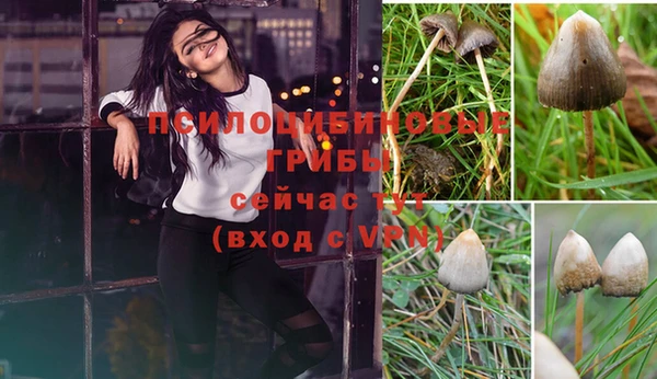 соль ск Алексин