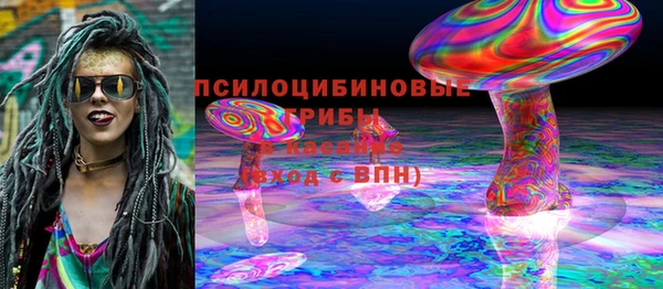 соль ск Алексин