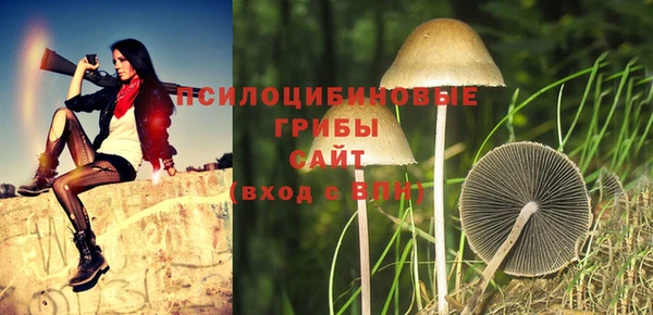 соль ск Алексин