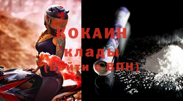 соль ск Алексин